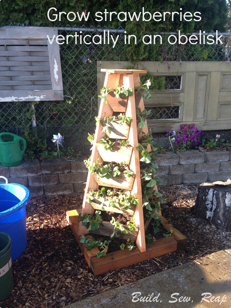 Strawberry Obelisk by Julie at Build, Sew, Reap