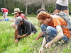 Foragers foraging in Florida - Blanchard Park