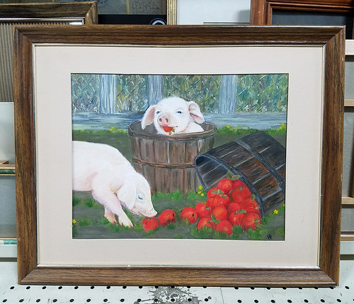 pig in a bucket