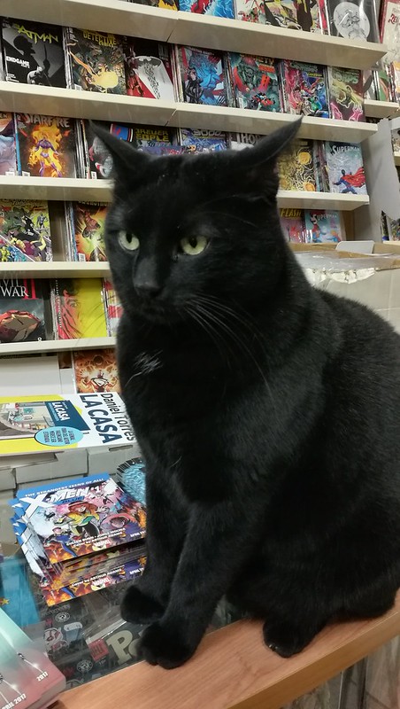 Gotham Comics Valencia has the best shop cat around