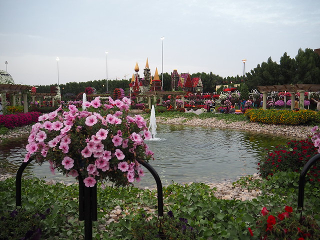 P1211149 DUBAI MIRACLE GARDEN(ドバイ・ミラクル・ガーデン/حديقة الزهور بدبي)