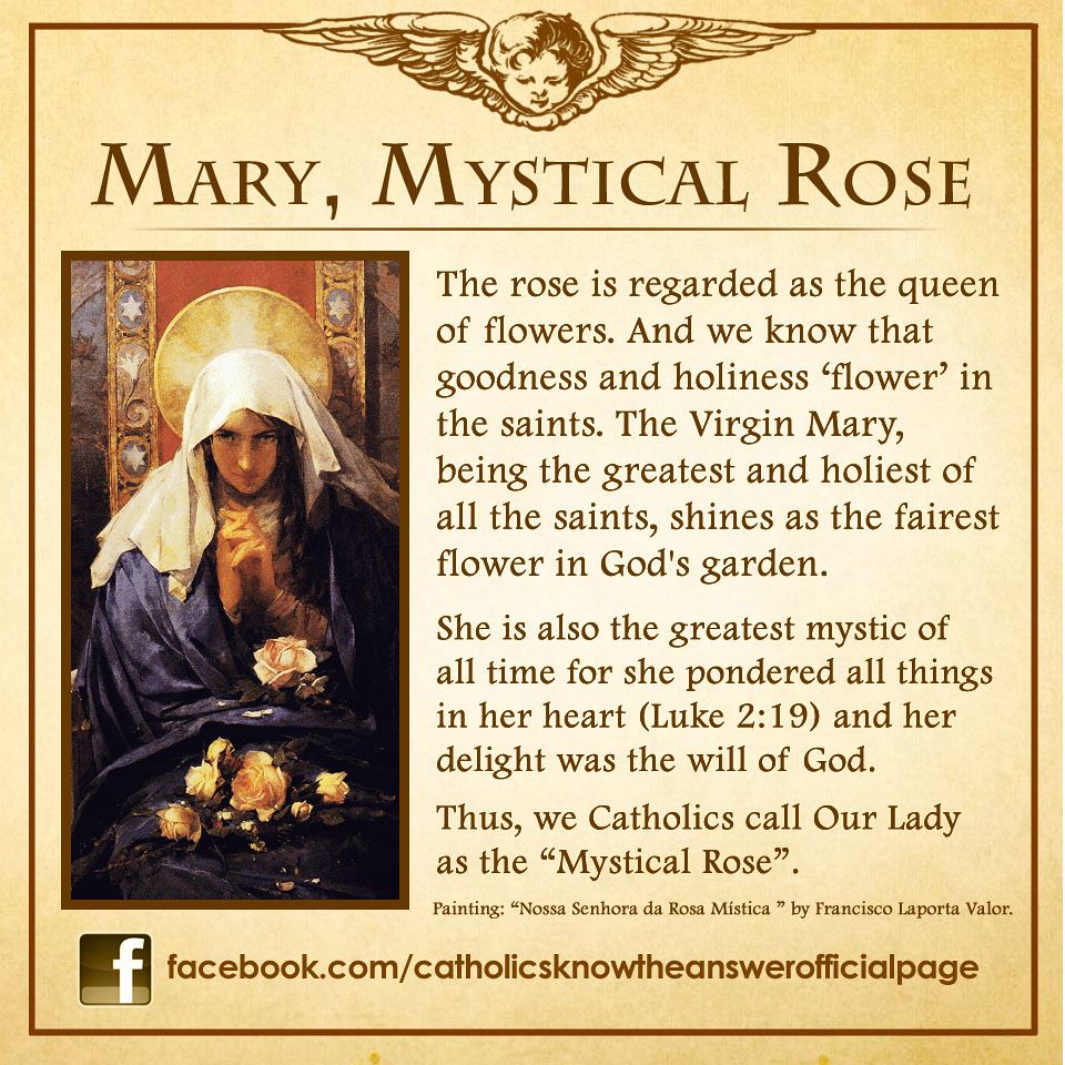 Mystic Rose Virgin Mary 118
