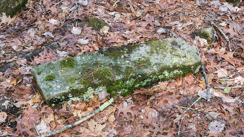 Foundation ruins in Dupont State Forest - 1