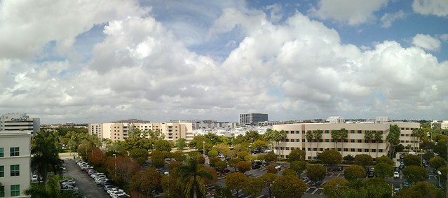 My Miami View