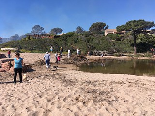 Nettoyage et brûlage du bois sur les plages à l'embouchure du Cavu