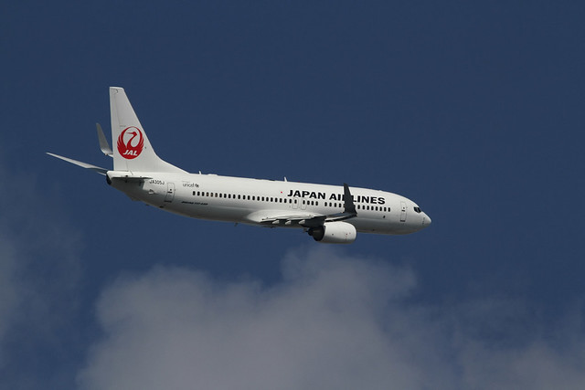 Japan Airlines JA305J