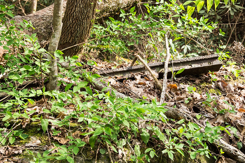 Twisted rail along trail - 5