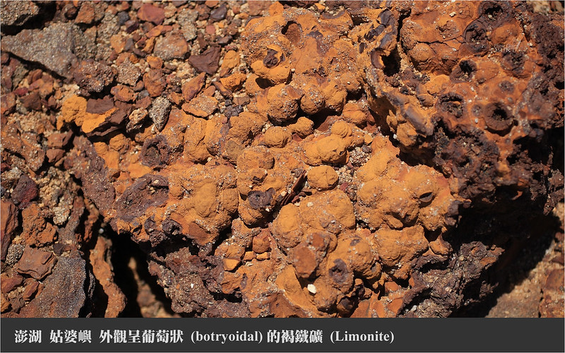 姑婆嶼 外觀呈葡萄狀的褐鐵礦
