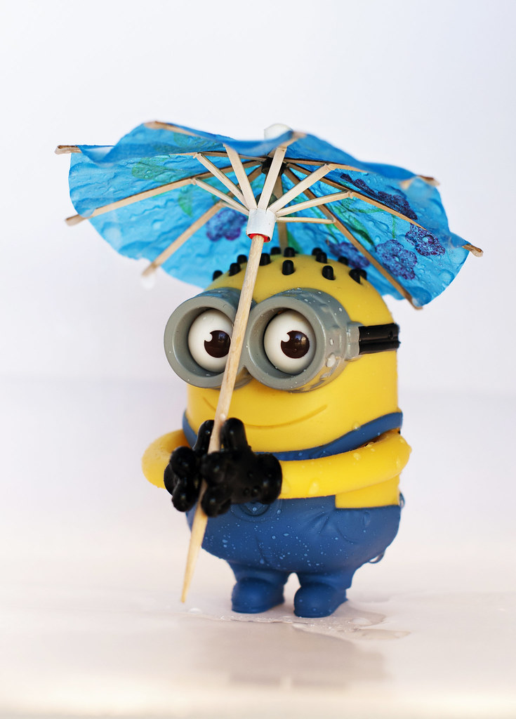  Minion  in the rain  Bi weekly competition Get Wet 