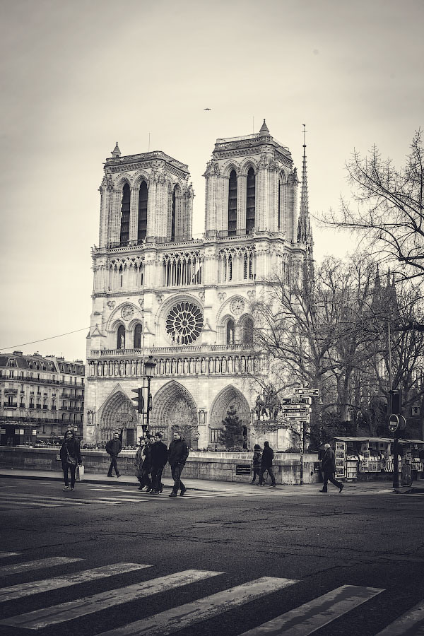 Собор Парижской Богоматери - вид с набережной Сены