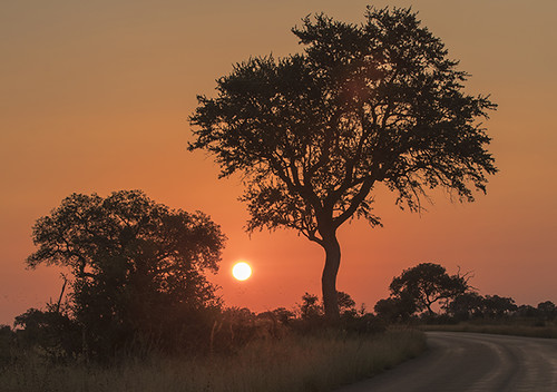Kruger-Addiction: Cuarta visita por libre al Parque Nacional Kruger (Sudáfrica) - Blogs de Sudáfrica - Etapa 2:PREPARATIVOS detallados para visitar Parque Nacional Kruger (Sudáfrica) (13)