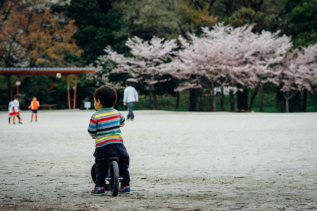 Aichi_Owariasahi_ShinrinPark_01