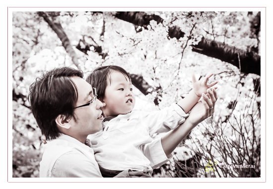 桜と一緒に家族写真　山崎川　名古屋市瑞穂区　お花見　ロケーション撮影　人気　オススメ　出張撮影