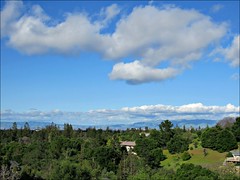 Los Altos Hills view