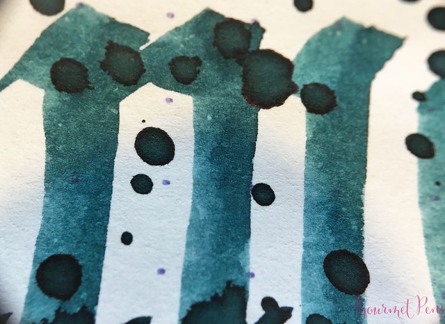 Ink Shot Review Franklin-Christoph Midnight Emerald @1901FC 13