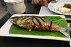Mangan - Grilled fish