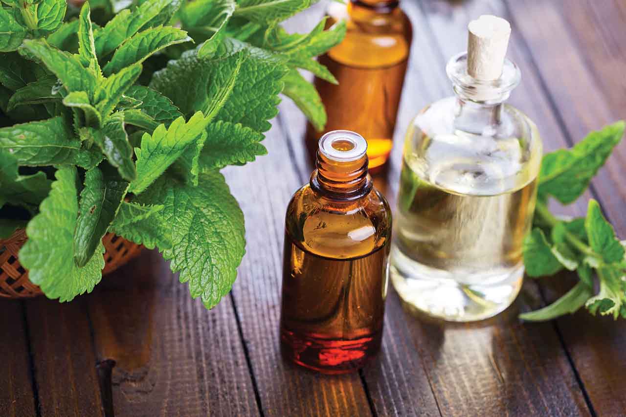 The Most Popular Ingredients For DIY Toothpaste & How To Make One: Since most toothpastes in the market have mint-like taste, no wonder we would want to add some peppermint oil in order to make it more refreshing. Just like coconut oil, peppermint oil also helps us get the proper consistency of the toothpaste.