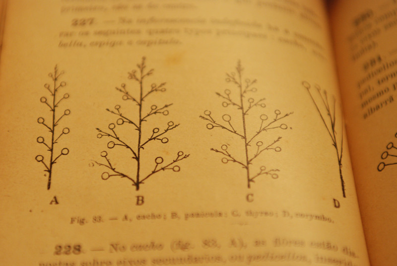 Old botany books