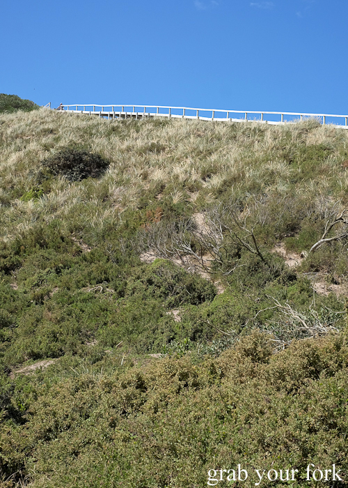 Timber stairs up to The Neck lookout on Bruny Island in Tasmania