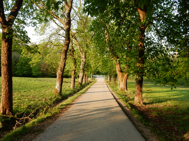 Lainzer Tiergarten