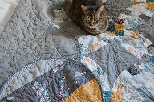 Completed Double Wedding Ring Quilt - washed