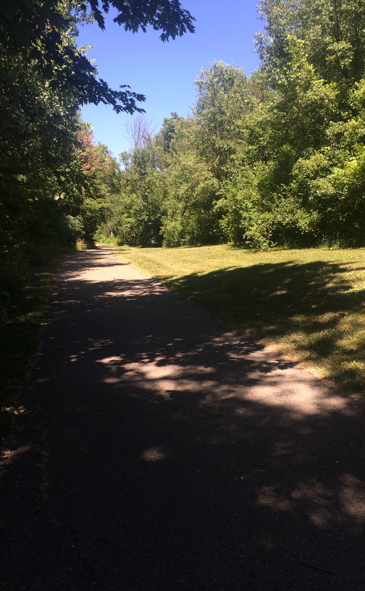 Funding Awarded To Construct Trail From MSU To Lake Lansing