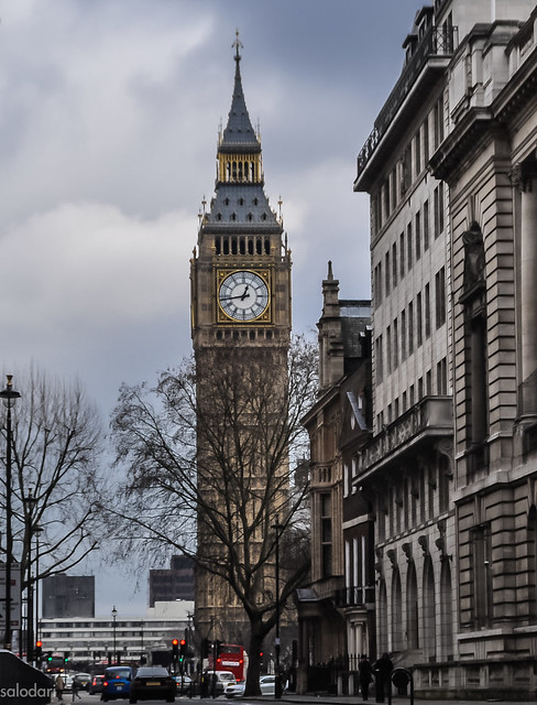 Viaje a Londres, 7 días en febrero - Blogs de Reino Unido - DESDE BUCKINGHAM A TRAFALGAR SQUARE (18)