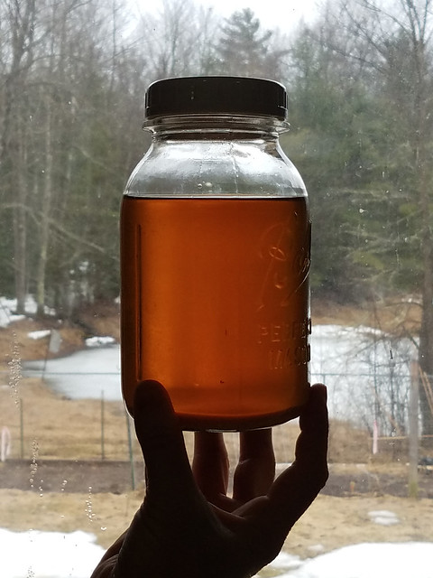maple_syrup