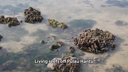 People and reefs on and around Pulau Hantu