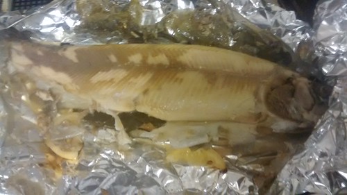baked trout Apr 17
