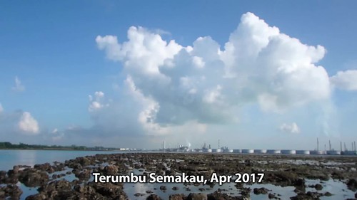 Living reefs of Terumbu Semakau, Apr 2017