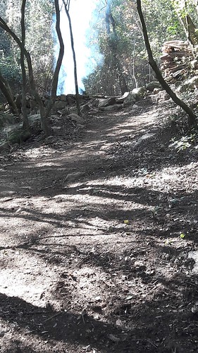 Le sentier de Petra Stretta (PR2) depuis le Parc-Aventure après les travaux