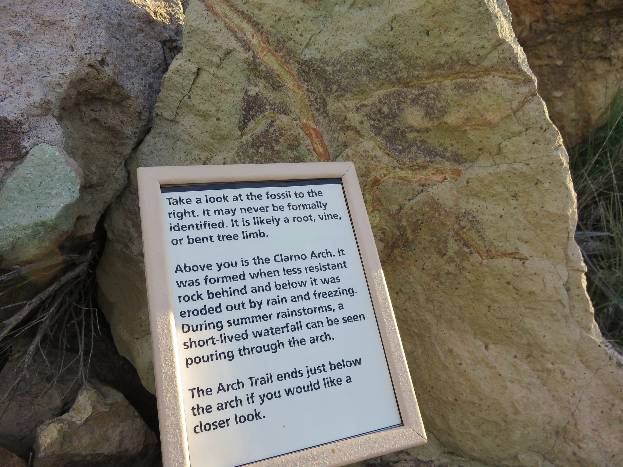 Interpretive sign Clarno Unit - John Day Fossil Beds