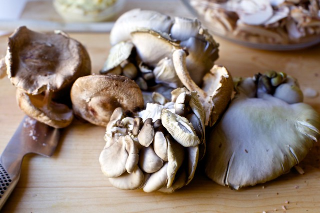 extra-pretty mushrooms