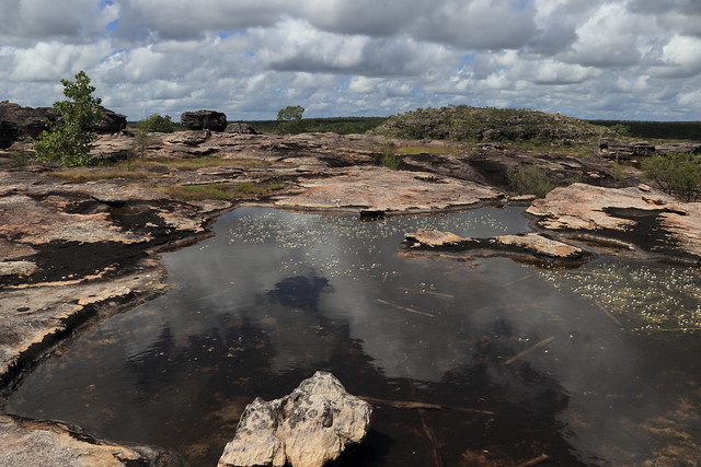 Sandstone country after the Wet