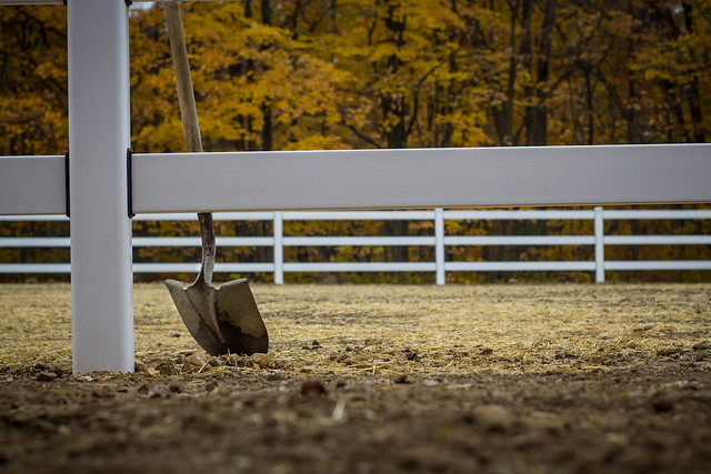 Shovel Leaning on Horse Fence