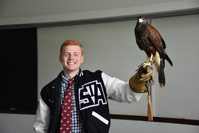 Taking Flight: A Lesson in Falconry
