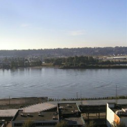 Photo: Surrey's Tannery Park from my Balcony in New Westminster