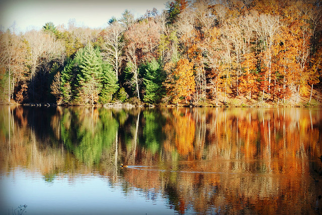 View of the fall leaves reflecting over the lake outside your cabin at Fairy Stone State Park, Va