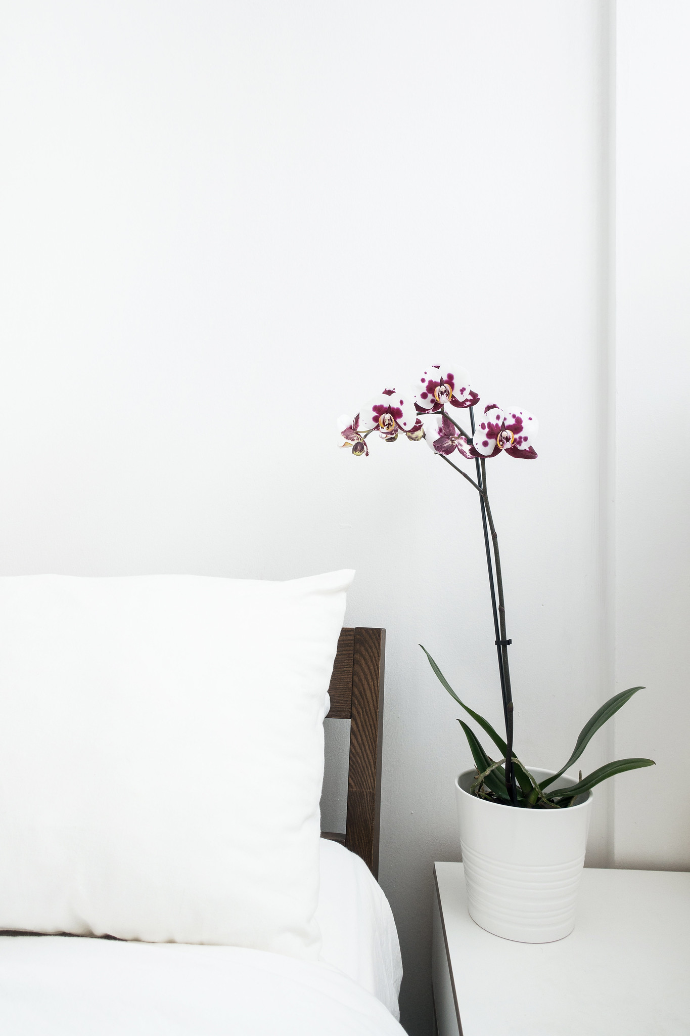 3 Common Misconceptions About Minimalism