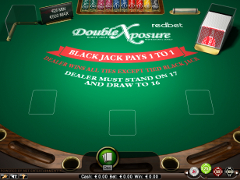 Double Exposure Blackjack Professional Series