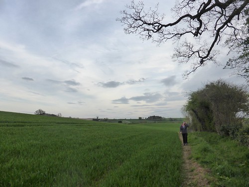 Fields near Drayton