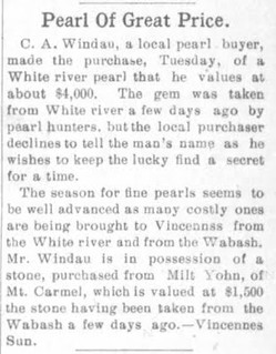 Windau Pearl buyer TRIBUNE, Fri June 11, 1909, p. 1