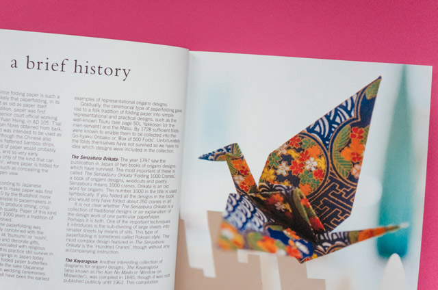 Book - The First Book of Origami