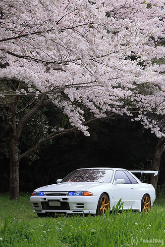 R32GT-R with Sakura