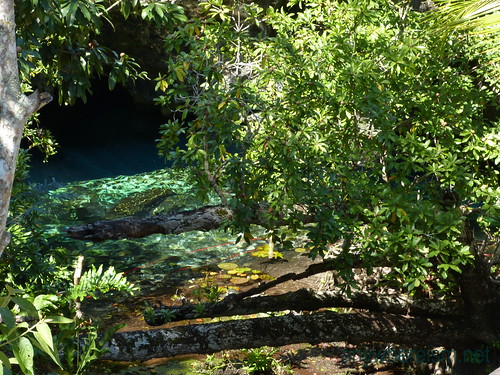 Tulum Grand Cenote