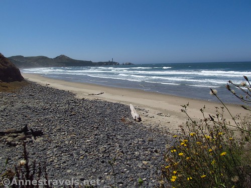 Wildflowers and beach views toward the Yaquina Head Lighthouse from near the parking area south of Schooner Point, Oregon