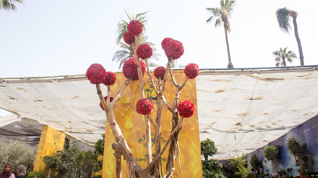 Trees and roses at Egypt's Spring Flowers show
