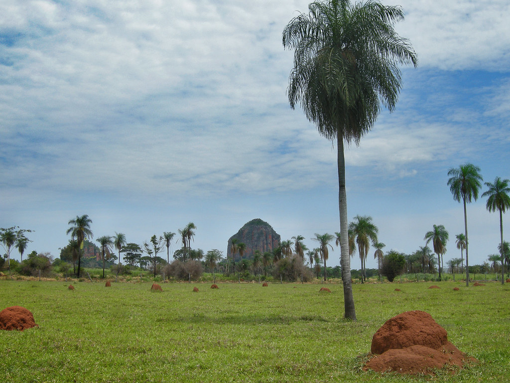Landscape Near Yby Yau, Paraguay | Primordial scenery in cen… | Flickr