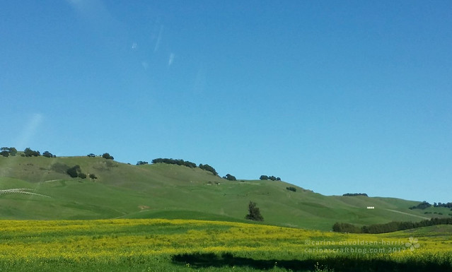 Driving from Concord to Napa [Feb 11]